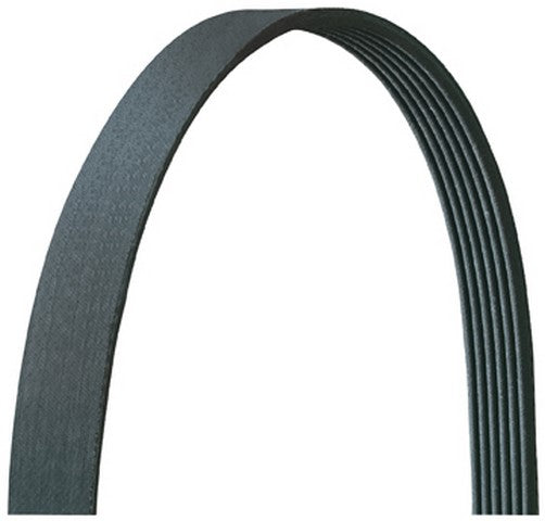 Serpentine Belt from Dayco part number 5060431DR