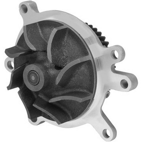Dayco DP807BH Engine Water Pump