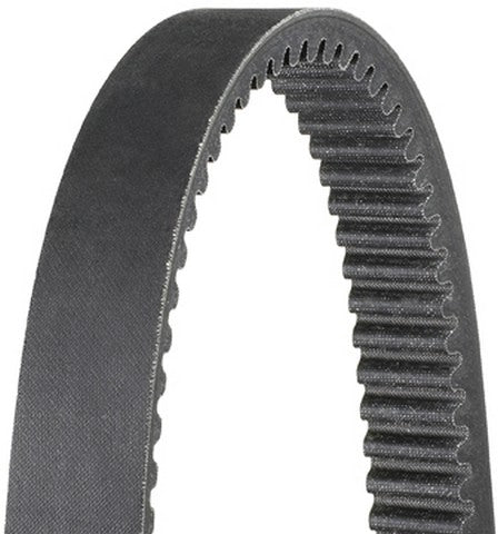 Dayco XTX5042 Automatic Continuously Variable Transmission (CVT) Belt