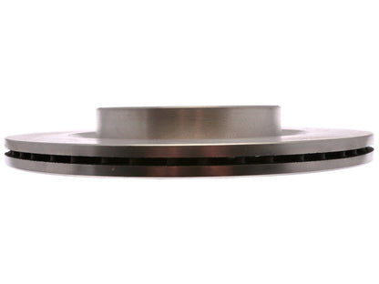 Raybestos 582530R Disc Brake Rotor – Rear