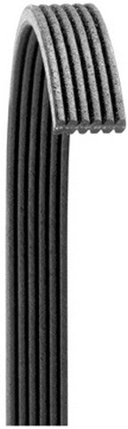 Serpentine Belt from Dayco part number 6080719
