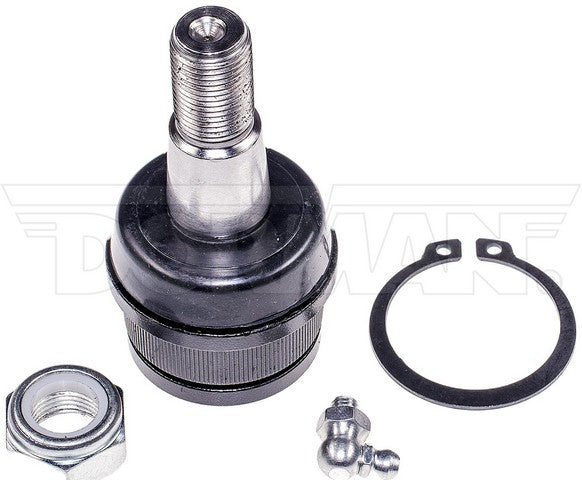 Dorman MAS B8411 Suspension Ball Joint