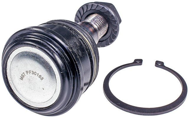 Dorman MAS BJ86325 Suspension Ball Joint