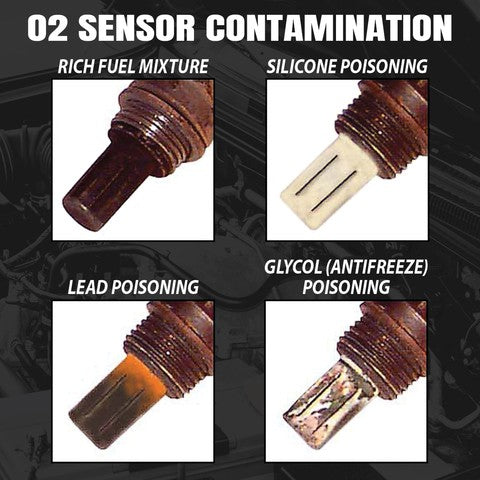 Walker Products 350-34412 Oxygen Sensor