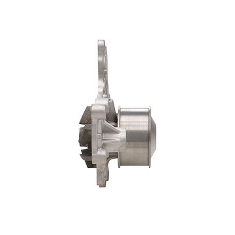Dayco DP919 Engine Water Pump