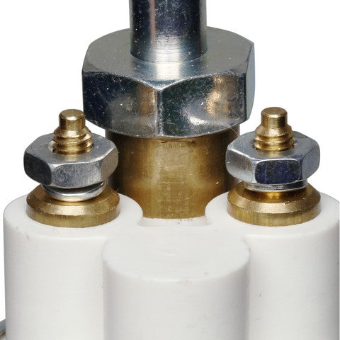 Delphi FD0029 Electric Fuel Pump