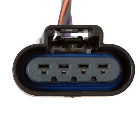 Delphi FG0099 Fuel Pump Module Assembly