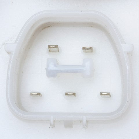 Delphi FG1394 Fuel Pump Module Assembly