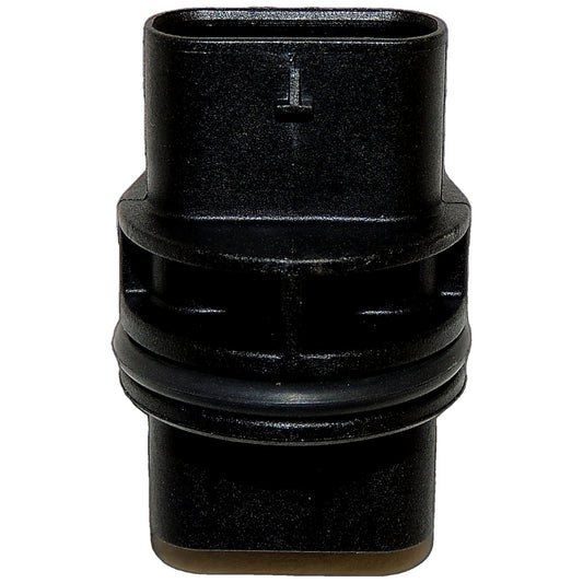P01