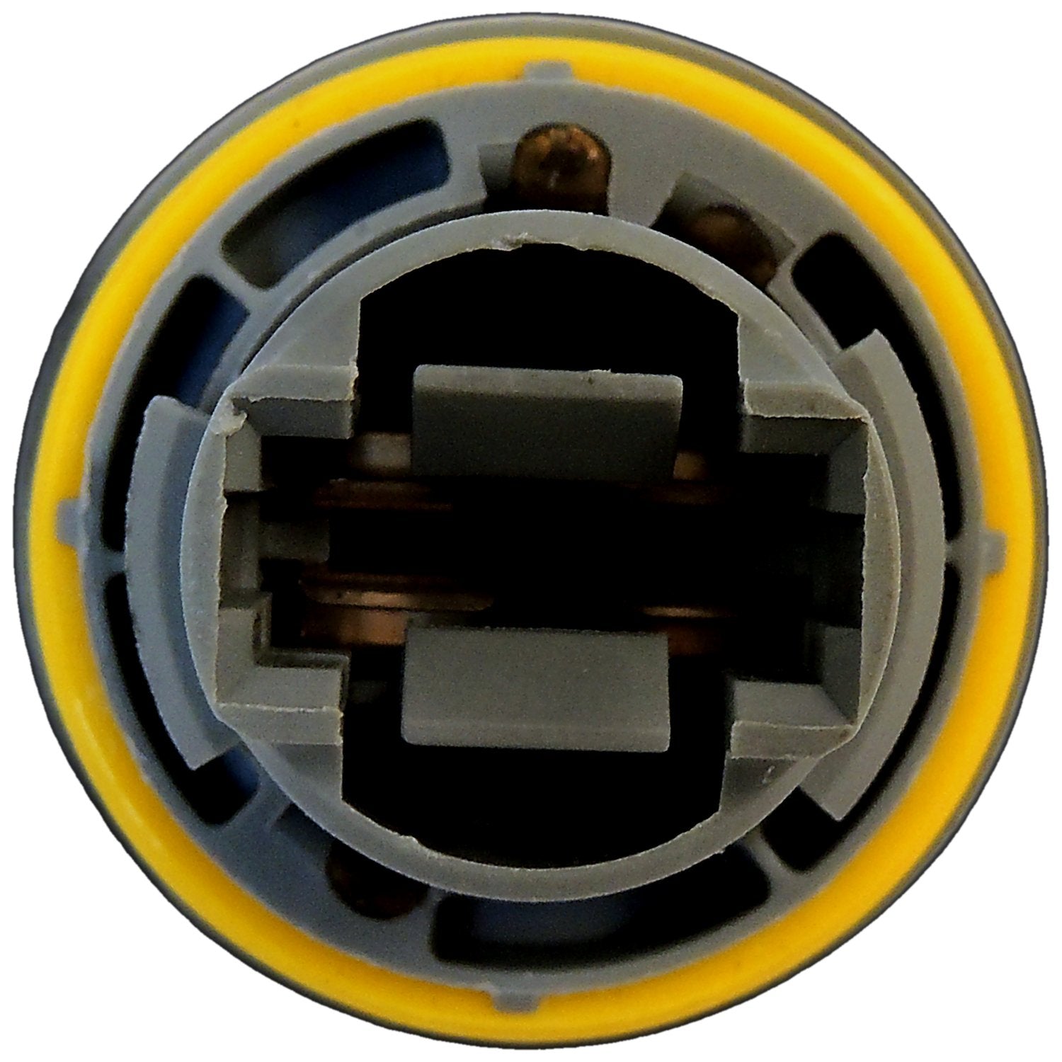 P01