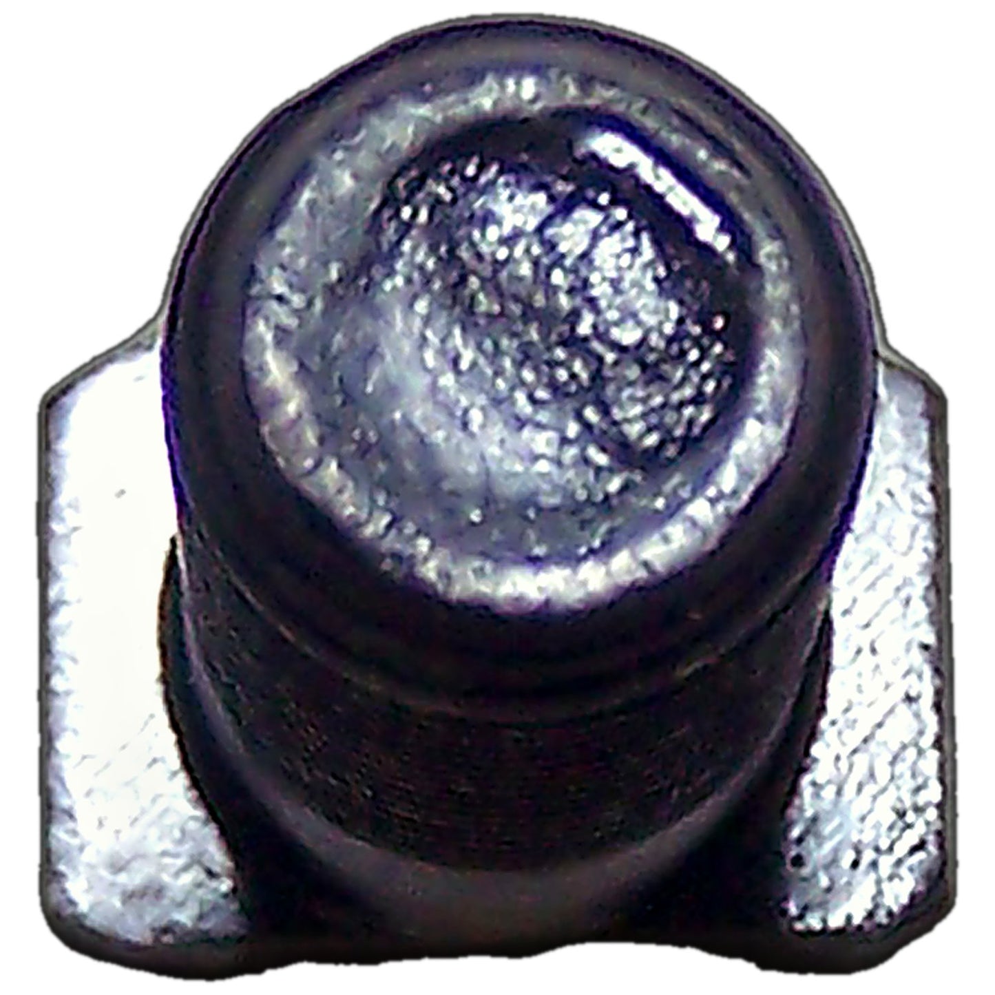P01