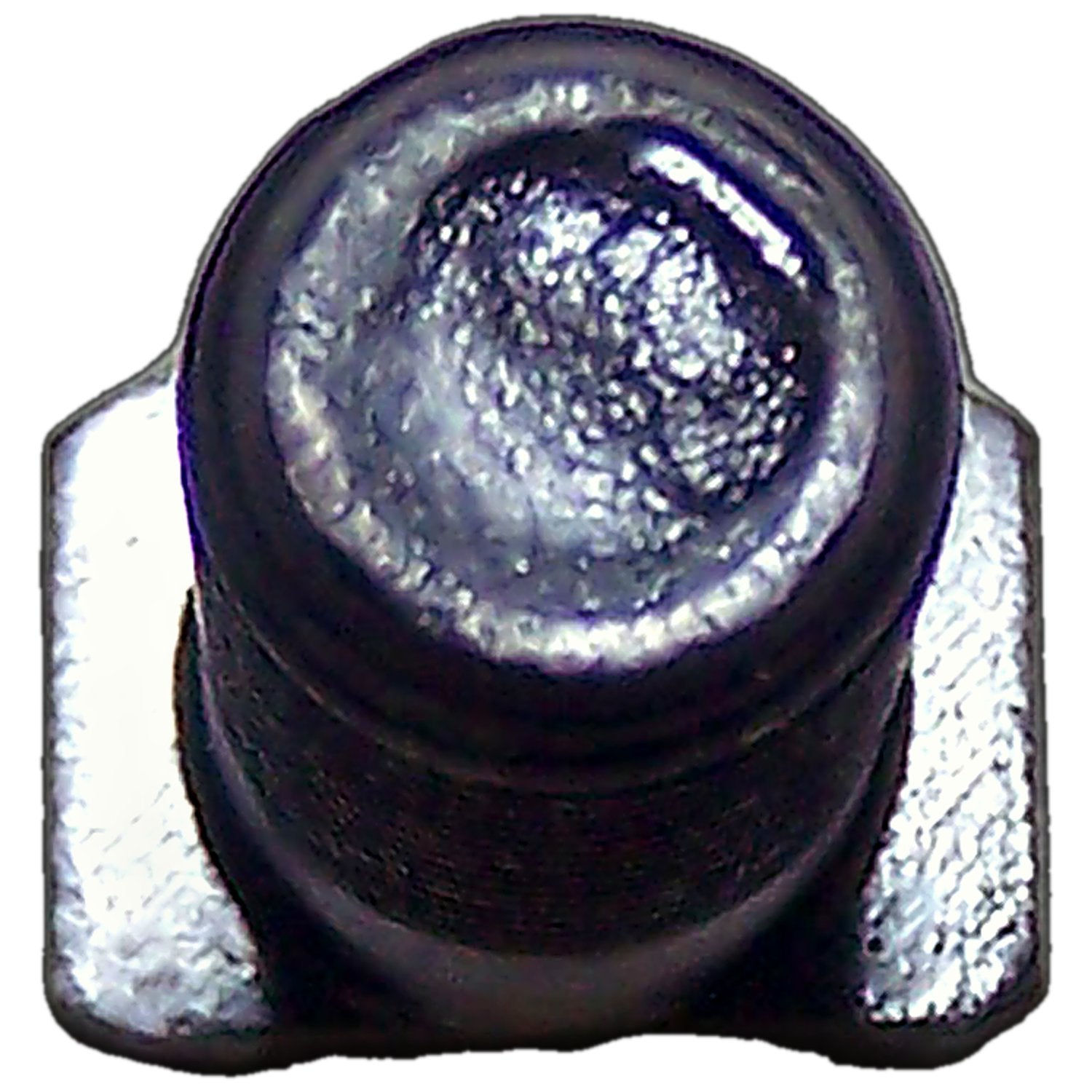 P01