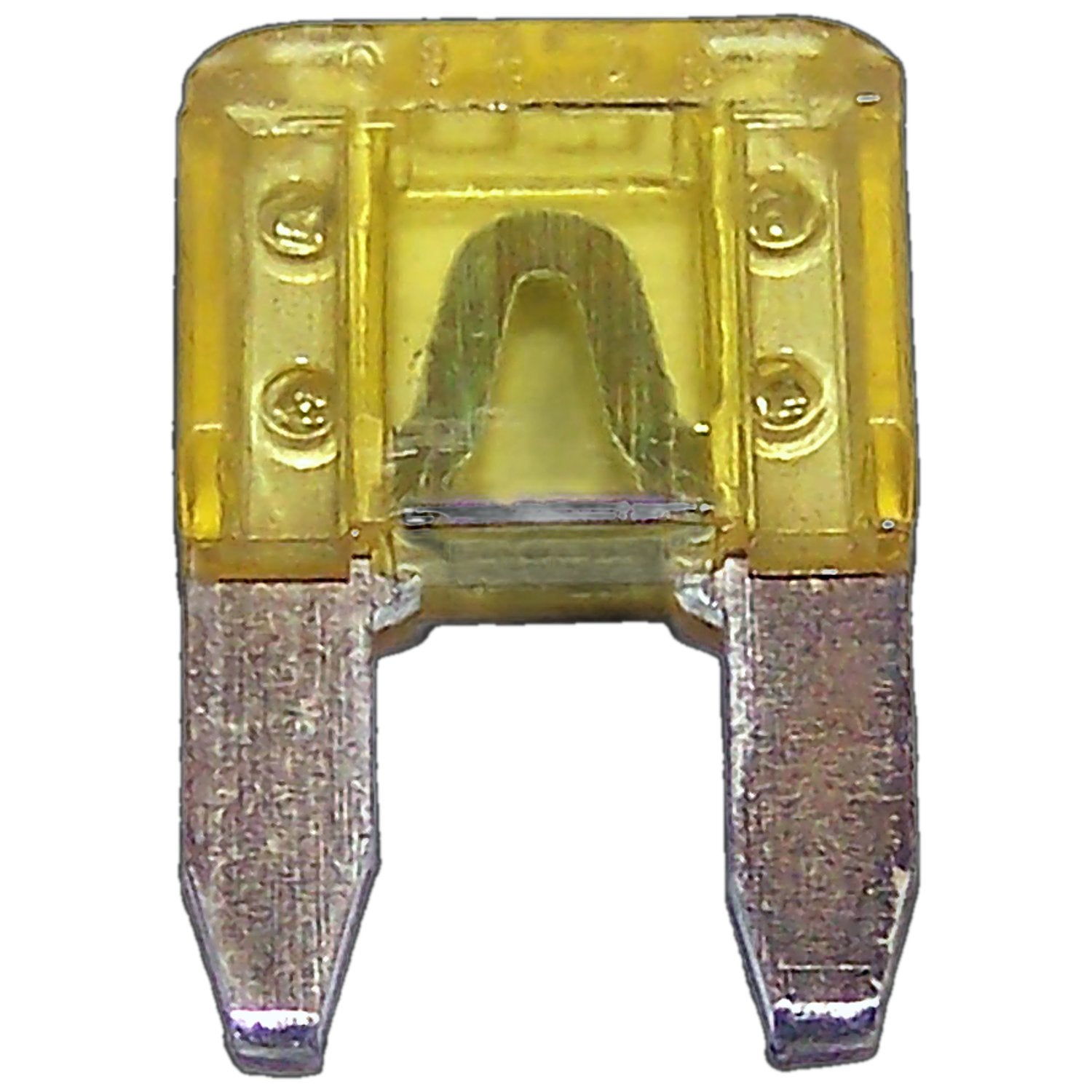 P01