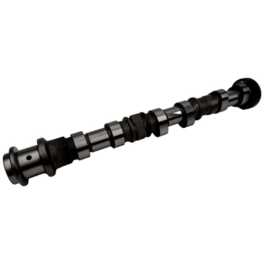 P01