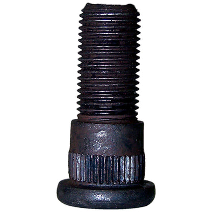 P01