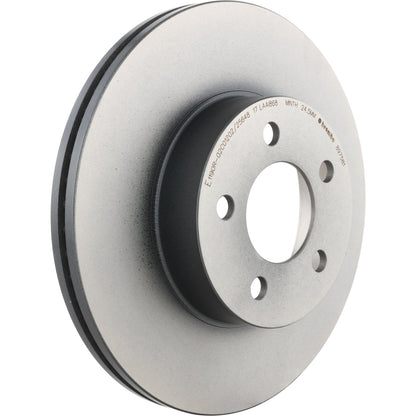 Gray cast iron disc brake rotor from Brembo part number 09.8975.81