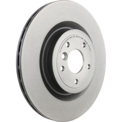 Gray cast iron disc brake rotor from Brembo part number 09.C209.21