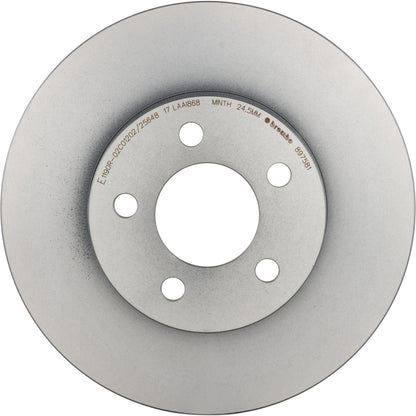 Gray cast iron disc brake rotor from Brembo part number 09.8975.81
