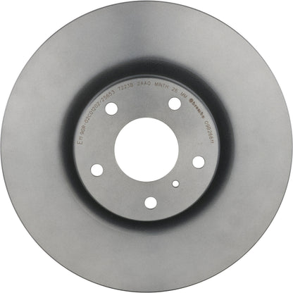 Gray cast iron disc brake rotor from Brembo part number 09.B266.11