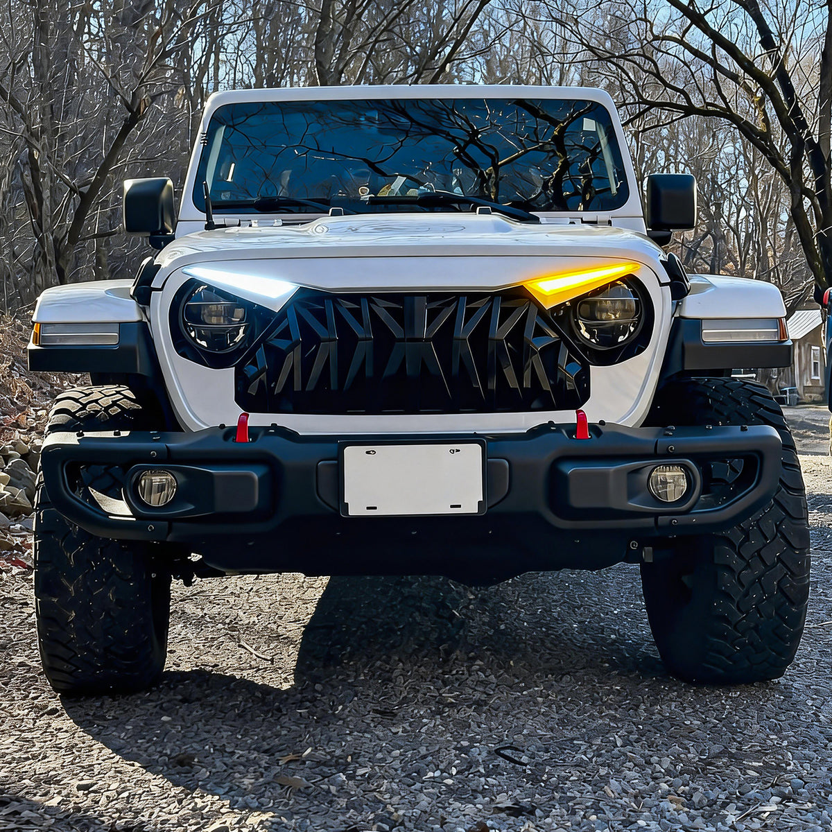 Black and white abs plastic grille from AMERICAN MODIFIED part number AMJPCA00141