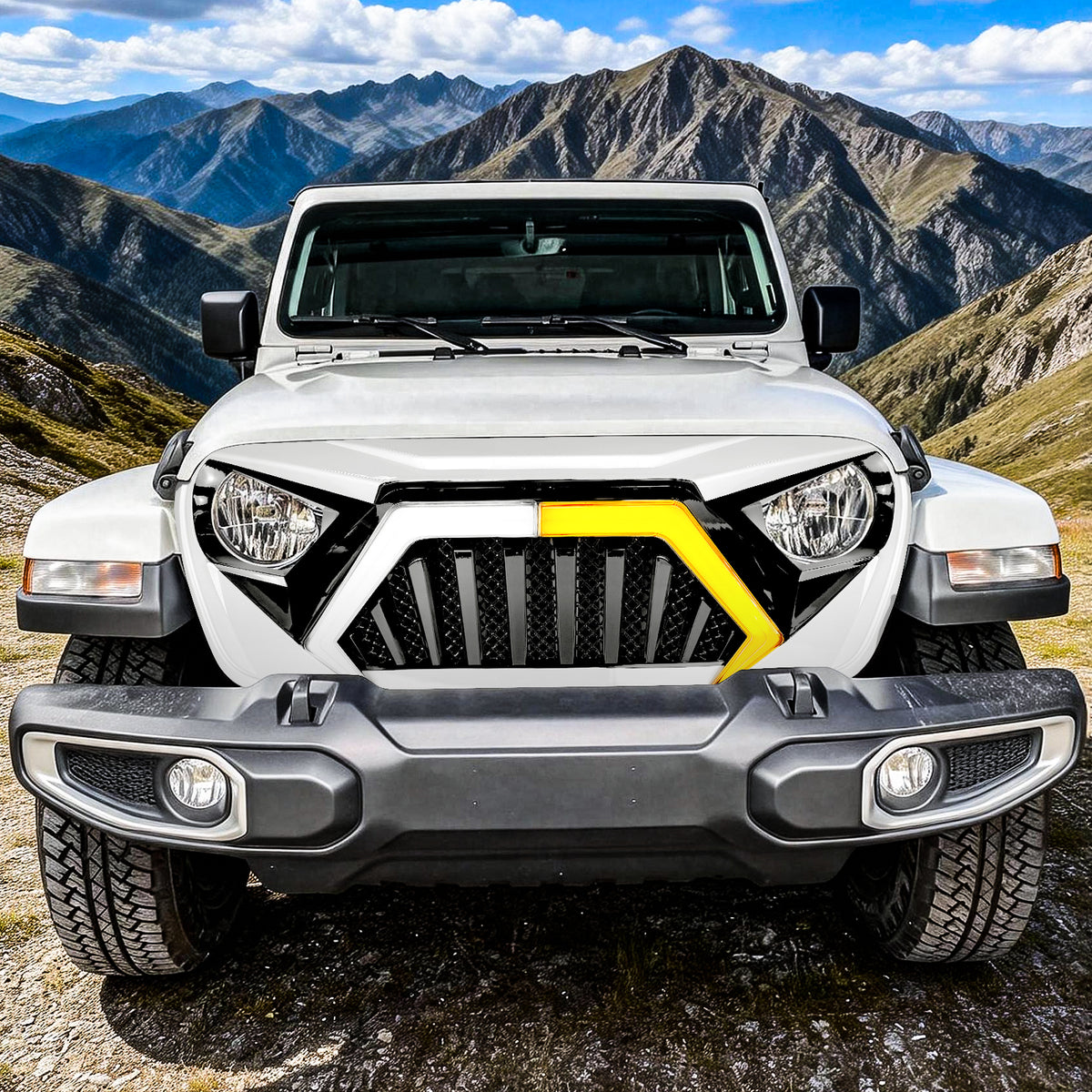 Black and white abs plastic grille from AMERICAN MODIFIED part number AMJPCA00142
