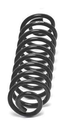 Black coil spring set from Fabtech part number FTS21160