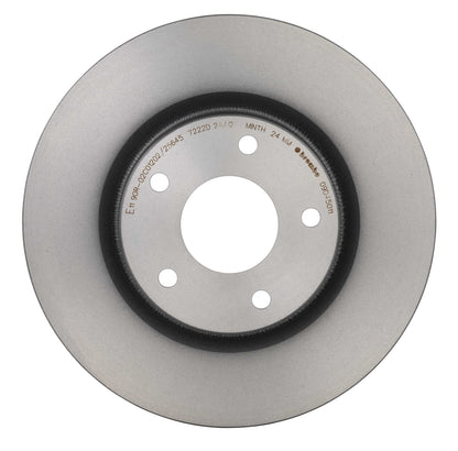 Gray cast iron disc brake rotor from Brembo part number 09.D450.11