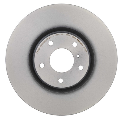 Gray cast iron disc brake rotor from Brembo part number 09.B530.11
