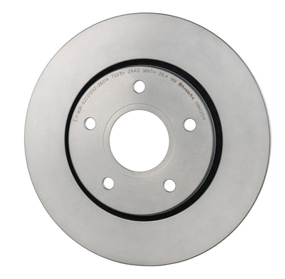 Gray cast iron disc brake rotor from Brembo part number 09.N125.11