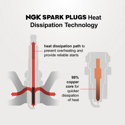 NGK 93226 Spark Plug
