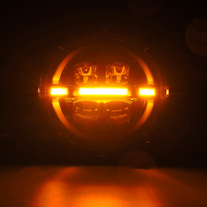 ZZ6