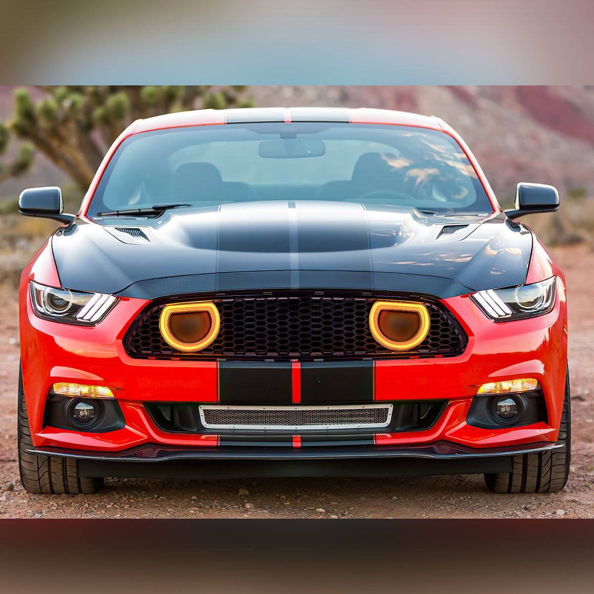 Glossy black abs plastic grille from AMERICAN MODIFIED part number AMFMCA00617
