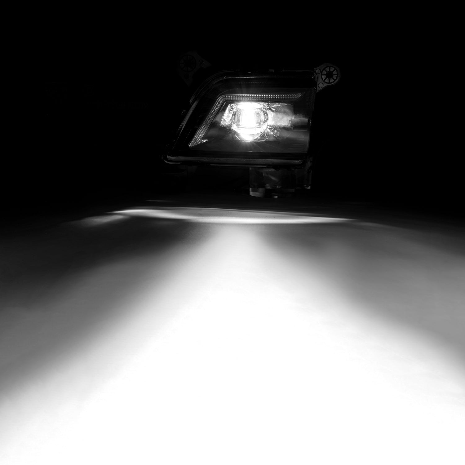 ZZ8